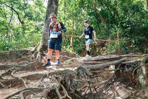 BIB: 
                            <button type="button" onclick="openModal(27722002)" class="btn btn-primary btn-sm float-right btn-popup" data-toggle="modal" data-target=".modal-high-quality">
                        <i class="fas fa-shopping-cart"></i> Add to Cart
                    </button>
                                            <button type="button" onclick="isThisMe(27722002, true)" class="btn btn-success btn-sm float-right btn-popup btn-isme hidden" data-toggle="tooltip" data-placement="bottom" title="นี่คือรูปของคุณใช่ไหม คลิกที่นี่เพื่อเอาเข้าอัลบั้ม">
                        <i class="fas fa-plus"></i> Add to album
                    </button>
                    <button type="button" onclick="isThisMe(27722002, false)" class="btn btn-warning btn-sm float-right btn-popup btn-isnotme hidden">
                        <i class="fas fa-ban"></i> Remove from album
                    </button>